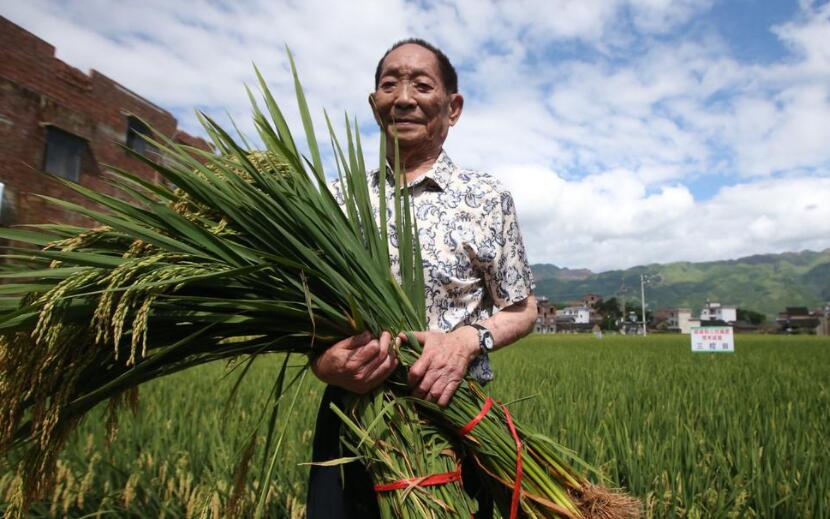 怀念袁隆平.jpg