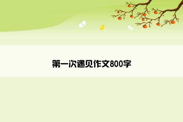 第一次遇见作文800字