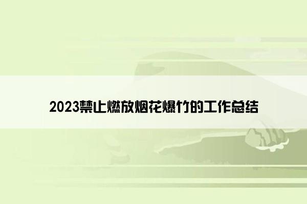 2023禁止燃放烟花爆竹的工作总结