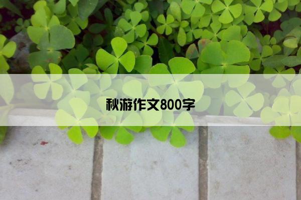 秋游作文800字