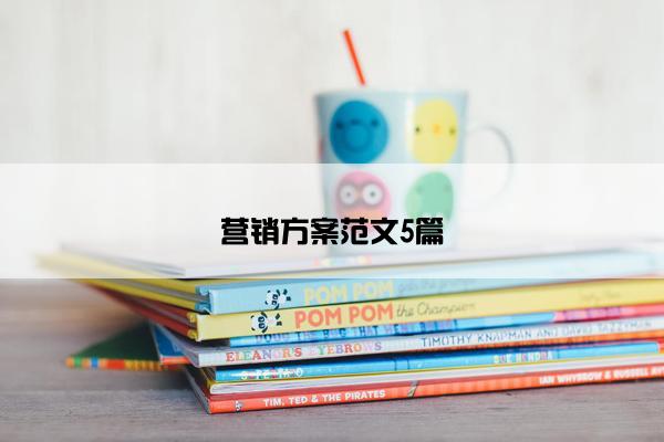 营销方案范文5篇