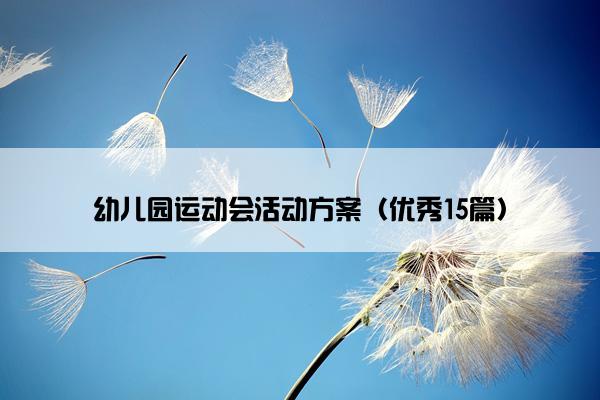 幼儿园运动会活动方案（优秀15篇）