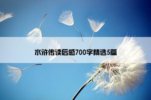 水浒传读后感700字精选5篇