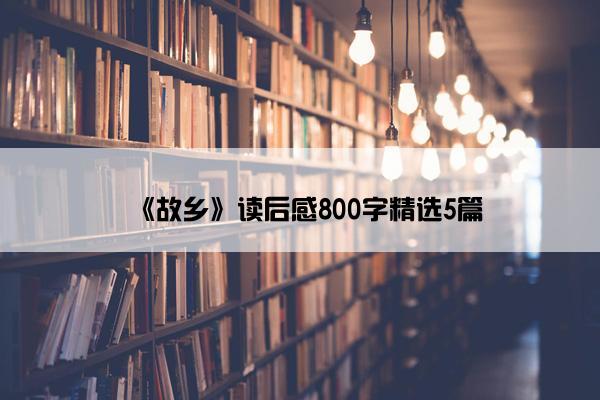 《故乡》读后感800字精选5篇