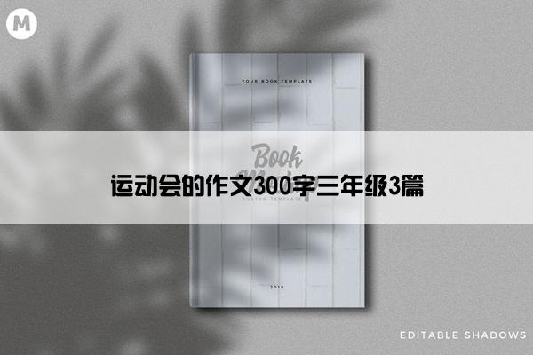 运动会的作文300字三年级3篇