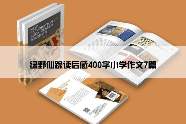 绿野仙踪读后感400字小学作文7篇