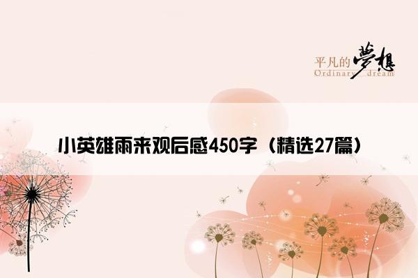 小英雄雨来观后感450字（精选27篇）